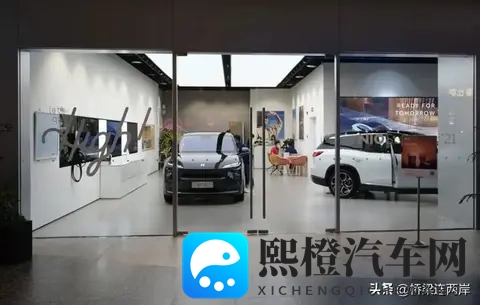 中国车欧洲斩获74%份额,为何德国市场仅29%?-3