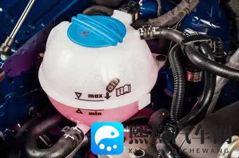 逼理想主动召回一万台MEGA的，为什么是小小的冷却液？-2