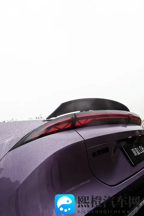 深蓝L06这个紫太漂亮了！-1