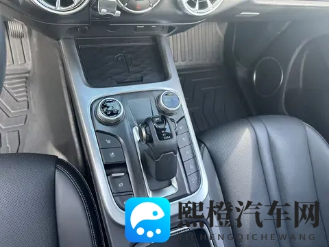 硬派越野触手可及,3万公里一手坦克300,圆你越野梦-2