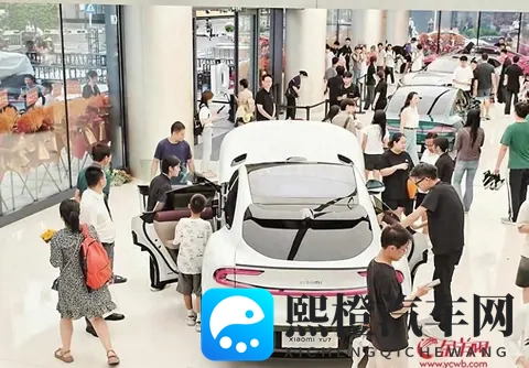 10月销量榜单出炉 新势力车企梯队“三极分化”-1