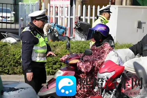 电动车禁用挡风被后,多个防寒新装备出现!网友:这下不怕查了-3