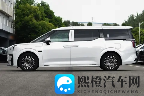 豪华MPV不再是商务专列,极氪009的家用价值正在被发现-3