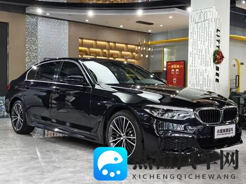 十八禁软件:限制级内容,严格管控软件-2