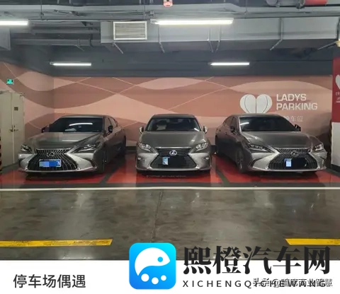 10岁小孩骑大马牙签搅大缸:汽车未来:自动驾驶与电动车革新-3