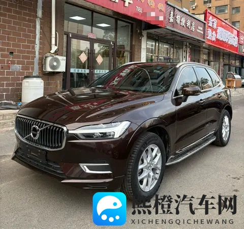 打扑克差差差:扑克牌技有待提高,屡败屡战苦笑中-2