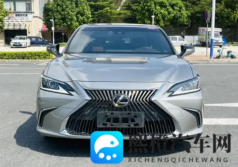 南宁二手车市场里的那辆“低调老大哥”-2