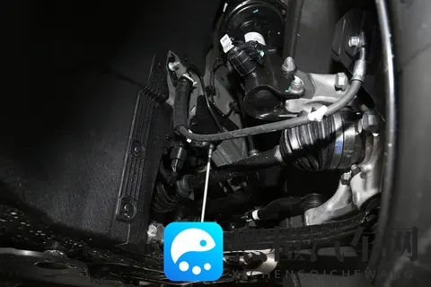 春药按摩：春日养生，按摩助情调-2