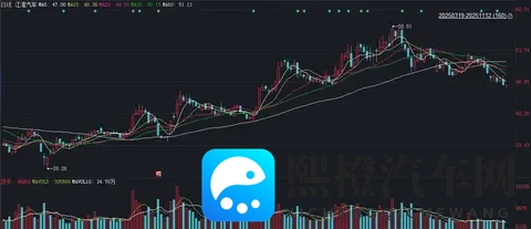 涉嫌严重违法,江淮汽车原皮卡公司党委书记赵涛被查-2