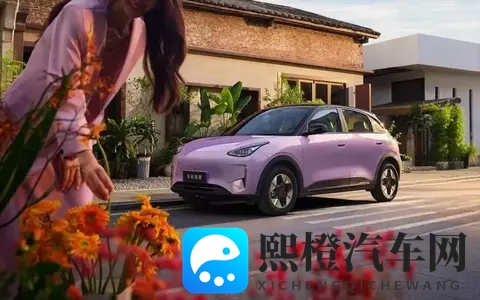 智能座舱+L2智驾，续航超600公里 10万内纯电买小车就选它-1