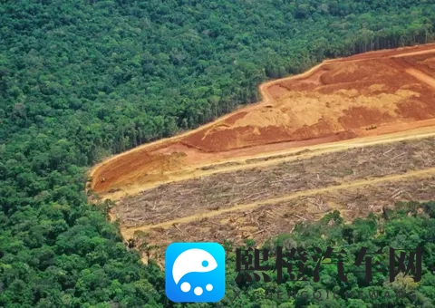 juliaann欧美丝袜办公室:电动汽车革命:未来汽车新篇章-2