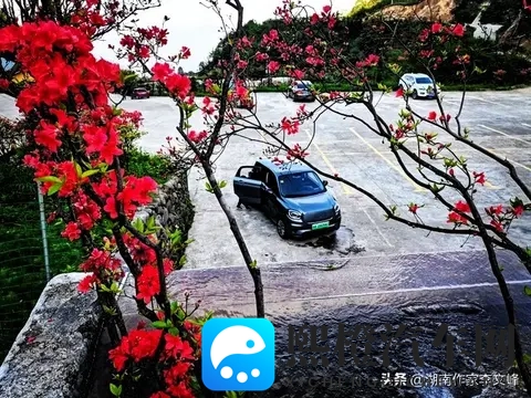 银十销冠炸场!零跑月卖7万成新王,去年还差点倒闭?(随笔)-1