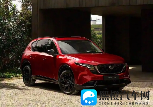 国产原创：本土匠心独运之作-2