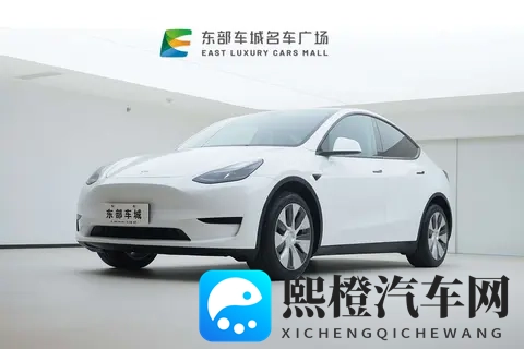 17万多拿下特斯拉Model Y,体验智能出行的魅力-1