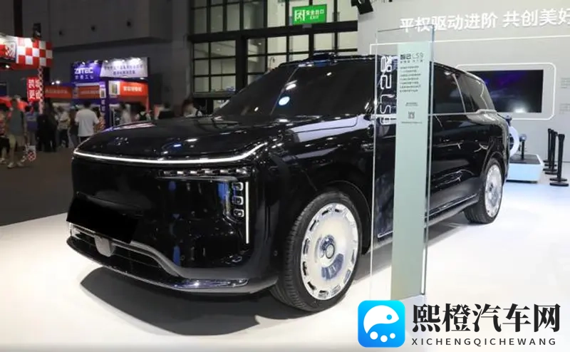 男生和女生一起查查查带疼痛aop:汽车维修新突破:带疼痛AOP问题迎刃而解-1