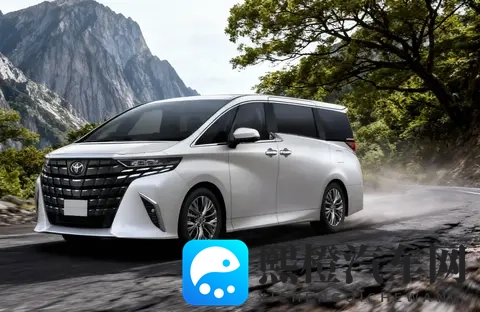 埃尔法23万有戏,以后咱也开开老板车-2