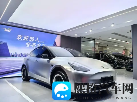 15万多拿下特斯拉Model Y，圆你电车梦？-1