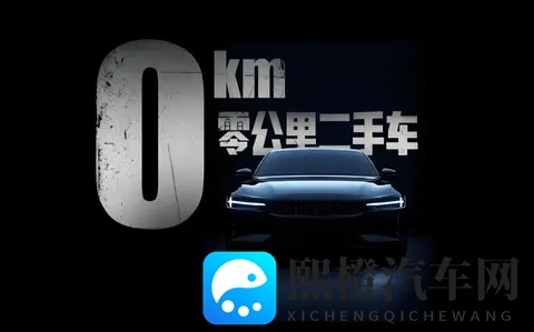 订单注水，二手车市场实现销量宏愿，还卖高价，资本游戏？-2