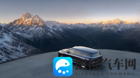 智己五年的对与错-1