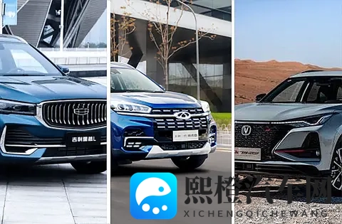 何小鹏称十年后中国汽车品牌格局是“五强和其他”，能否认同？-1