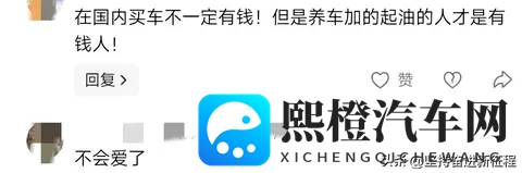 咋办？加满一箱油竟然少跑一公里，网友说:一万车少跑一个中国？-2