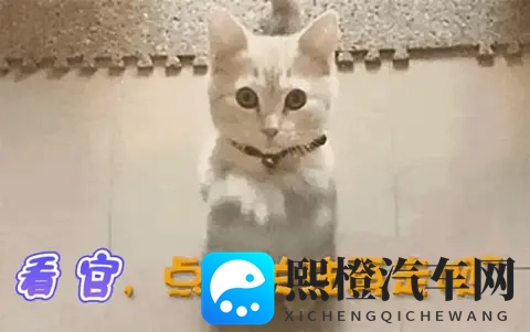 ACG本子※ACG绅士里番：动漫同人志，绅士作品大揭秘-2