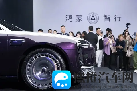 尊界S800断层领先！国内70万以上超豪华轿车10月销量排行榜公布-2