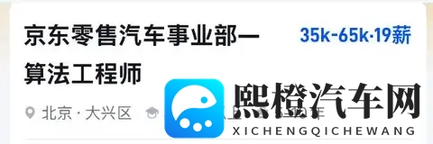 53 秒量产、7819 万拍卖！京东 “好车” 突袭市场-1