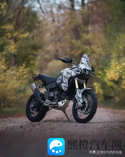 450ADV新竞品?杜卡迪曝光全新DesertX车型-3