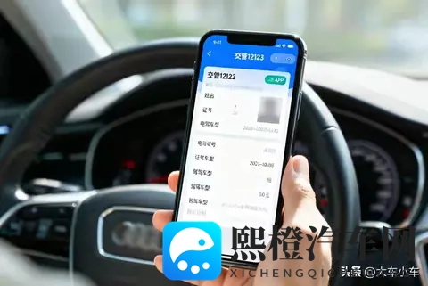 开车只带电子驾照真的万无一失?别大意,不少车主己经栽了跟头!-2