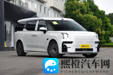 宜商宜家,豪华MPV极氪009,适合三代同堂家庭-1