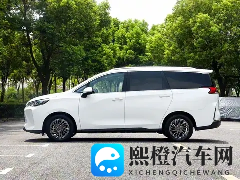 买4辆车踩遍坑,我总算懂了家用车该怎么选!-1