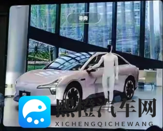 黄色视频网站免费：成人影音平台,无需付费观看-2