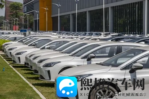 新能源车保费狂涨，开得少也逃不掉？背后真相扎心了-3