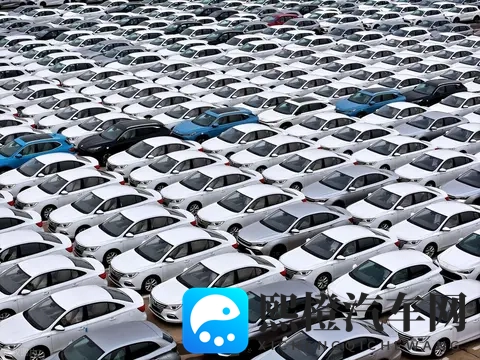 新能源车销售占据半壁江山,蓝海市场切换变红海!-2