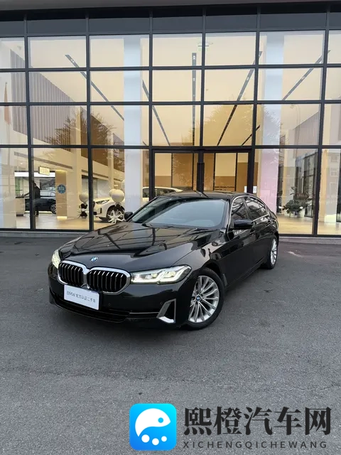 21万多拿下,感受行政级座驾魅力——二手宝马525Li-3