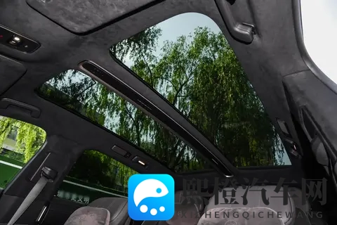 行政轿车＝司机的车？蔚来ET9用“后轮转向”给出了新答案-3