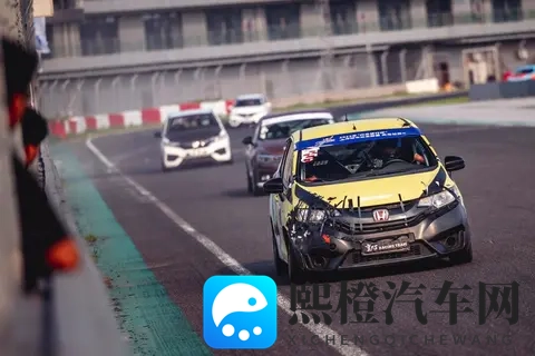 9月份全国只有16人懂车,剁椒鱼头逼宫飞度-2