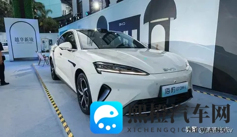 xxxxx国产:国产之光,探寻xxxxx的魅力-1