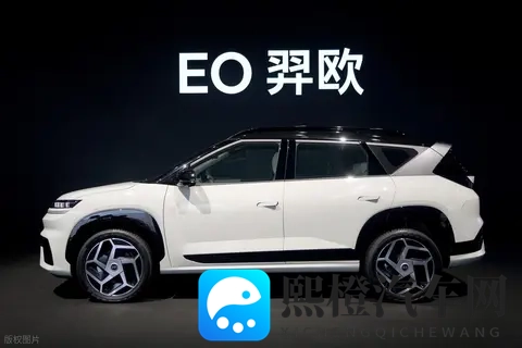 暴涨 87%!北京现代 10 月卖 2 万台,网友质疑:现在还有人买现代吗?-2