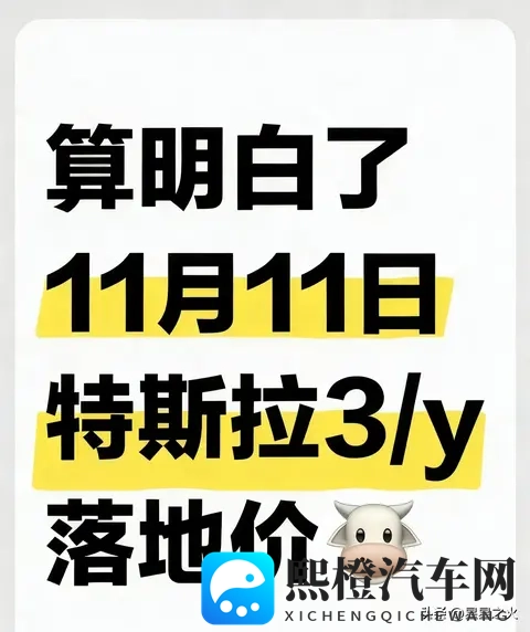 11月特斯拉各地补贴落地!全系汇总💥-1