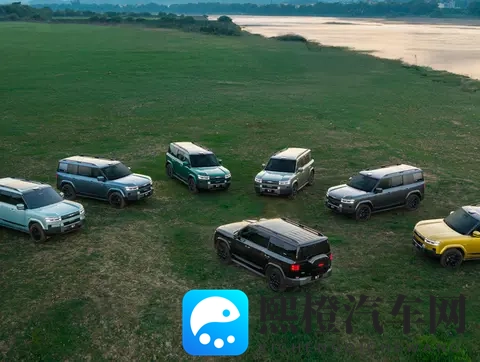 十月销量大涨的7款SUV,是昙花一现还是真的香?-1