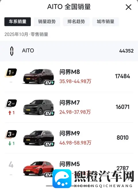 10月中国市场豪华品牌销量排名：奥迪第1问界第3特斯拉跌出前5-2