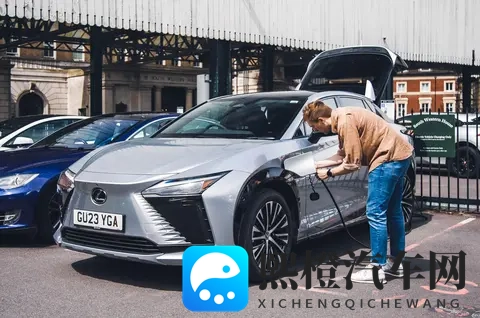 填补燃油税收入缺口,英国拟对电动汽车征收行驶里程税-1