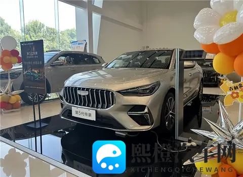 有没有女生看上第5代帝豪的？-1