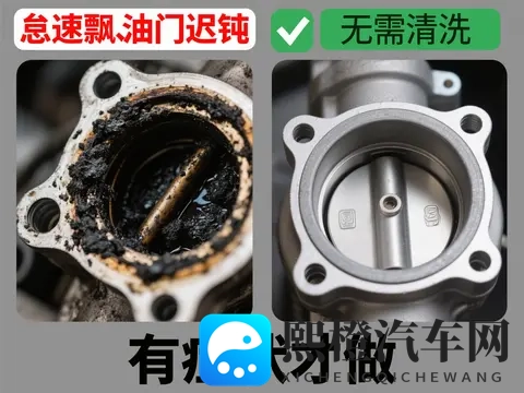 非洲男人与雌性宠物交：车辆安全新突破：宠物安全设计引发关注-2