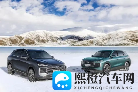 全新瑞虎8购车手册,稀缺的主流燃油SUV,推荐自动尊贵型-1