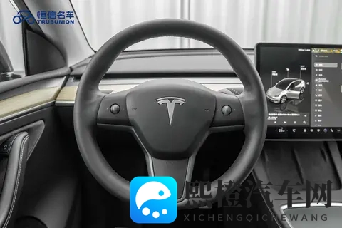 三年5万公里，省十万开走家用代步特斯拉Model Y-3