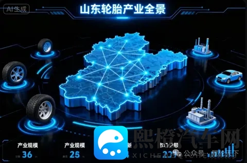 山东全省轮胎行业全景-3