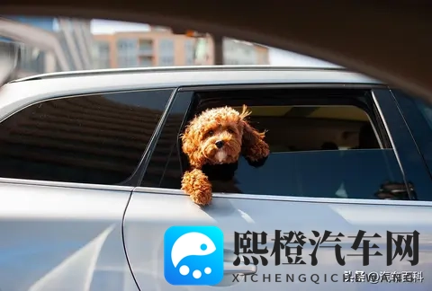 为什么坐车晕车,自己开车就不晕?-1